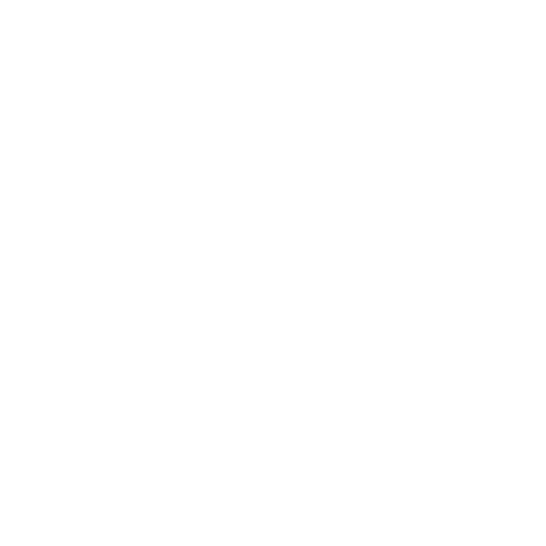 Foxelis - Agence Digitale